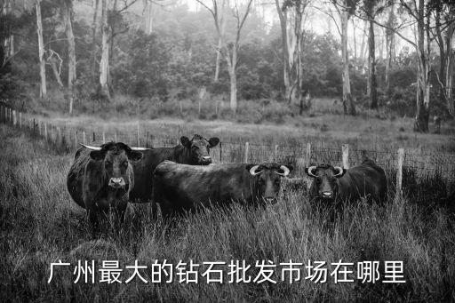 廣州最大的鉆石批發市場在哪里