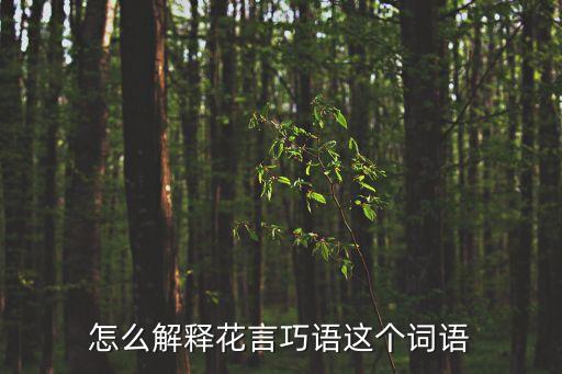 花言巧語，怎么解釋花言巧語這個詞語