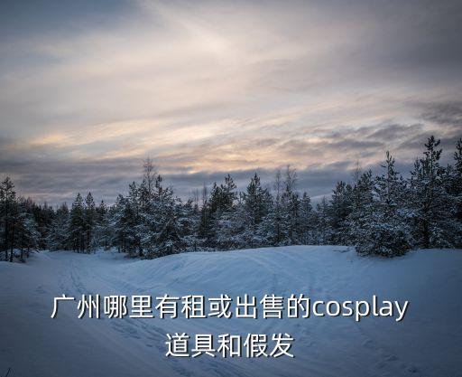 廣州哪里有租或出售的cosplay道具和假發(fā)