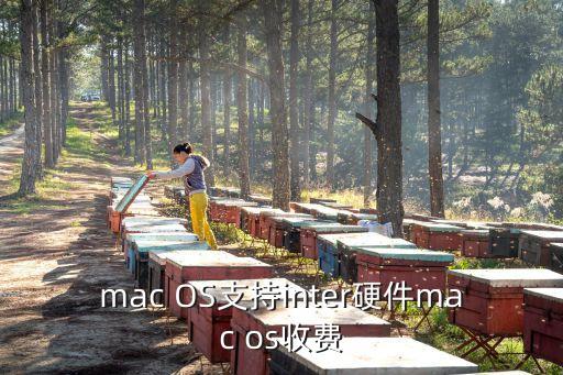 mac OS支持inter硬件mac os收費