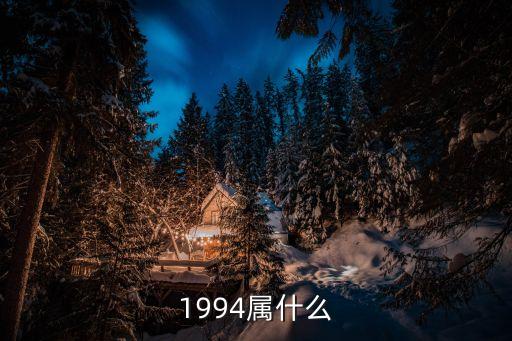 1994屬什么