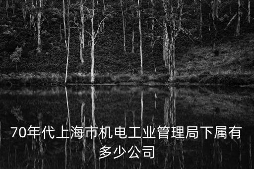 上海市電機工業(yè)局，70年代上海市機電工業(yè)管理局下屬有多少公司