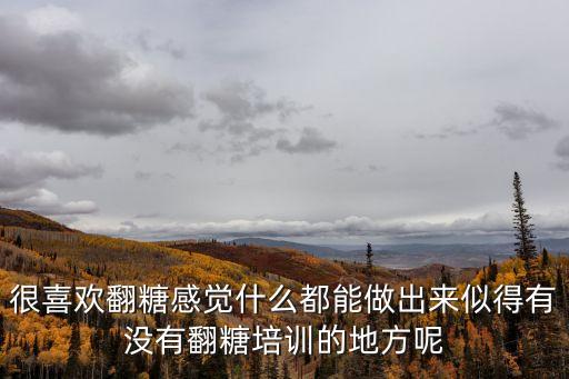 廣州哪里學習翻糖，很喜歡翻糖感覺什么都能做出來似得有沒有翻糖培訓的地方呢