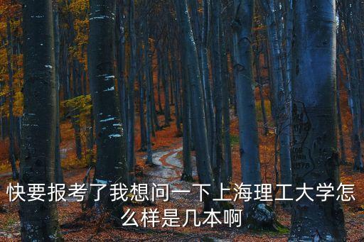 上海市雙盲 上海理工大學，上海理工是什么院校