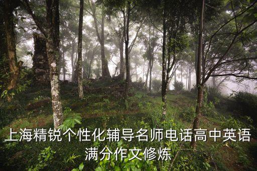 上海精銳個性化輔導名師電話高中英語滿分作文修煉