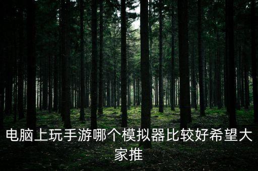 電腦上玩手游哪個模擬器比較好希望大家推