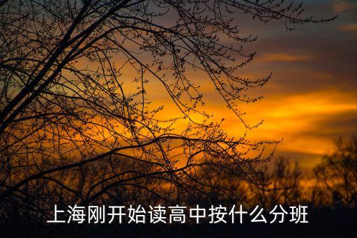 上海市鐵嶺中學分班，上海 鐵嶺中學怎么樣