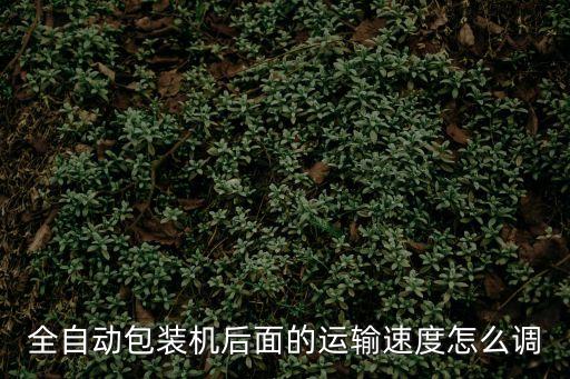 全自動包裝機(jī)后面的運(yùn)輸速度怎么調(diào)