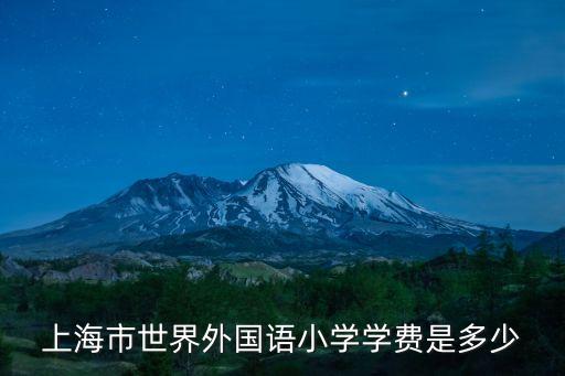 上海市私立小學(xué)的學(xué)費，上海市世界外國語小學(xué)學(xué)費是多少