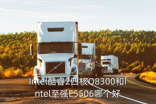 Intel酷睿2四核Q8300和Intel至強E5506哪個好