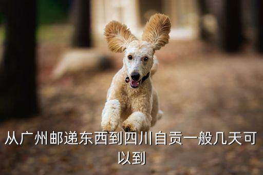 廣州到自貢物流可以直接到嗎，從廣州到自貢東西可以走物流嗎