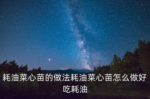 耗油菜心苗的做法耗油菜心苗怎么做好吃耗油