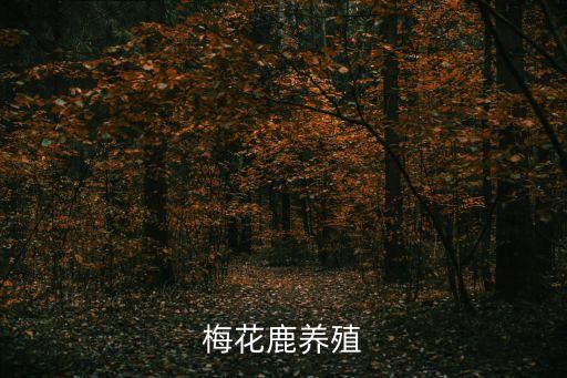 廣州梅花鹿鹿茸養(yǎng)殖基地，梅花鹿養(yǎng)殖