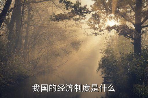 我國的經濟制度是什么