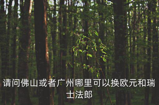 聯合貨幣網點廣州白云機場，請問佛山或者廣州哪里可以換歐元和瑞士法郎
