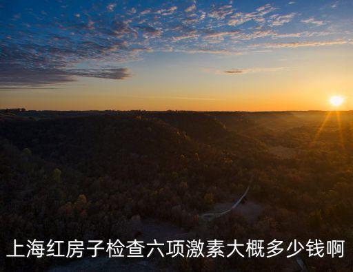 上海市紅房子孕前檢查套餐，上海紅房子醫(yī)院不孕不育檢查大約多少錢