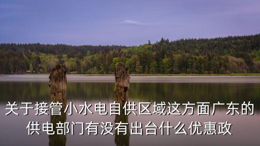關于接管小水電自供區域這方面廣東的供電部門有沒有出臺什么優惠政