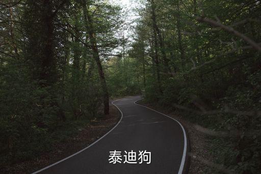 泰迪狗狗，泰迪狗一般分幾種類型