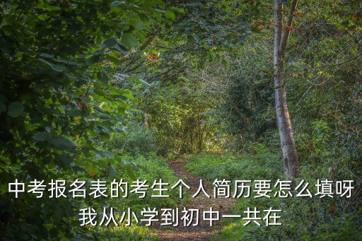 上海市中考簡歷如何寫，上海初中升高中自主招生的個人簡歷怎么寫