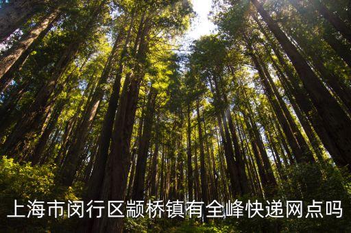 上海市閔行區顓興路748弄，上海市閔行區顓橋鎮有全峰快遞網點嗎