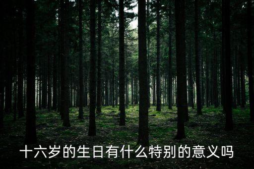 十六歲的生日有什么特別的意義嗎