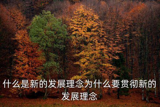 堅(jiān)持新發(fā)展理念，樹立新發(fā)展理念首先要解決為什么發(fā)展怎樣