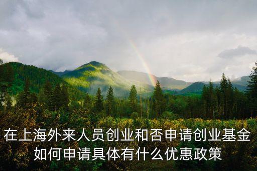 上海市人才創業計劃，上海大學生零成本創業什么時候開始實行