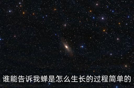 誰能告訴我蟬是怎么生長的過程簡單的