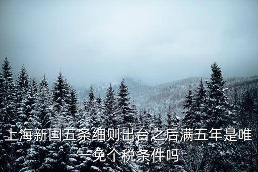 上海市個稅減免，上海新國五條細則出臺之后滿五年是唯一免個稅條件嗎