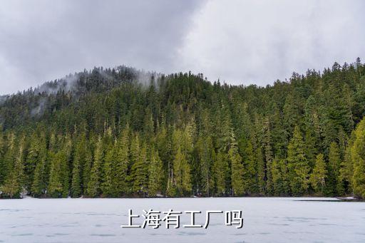 上海有工廠嗎