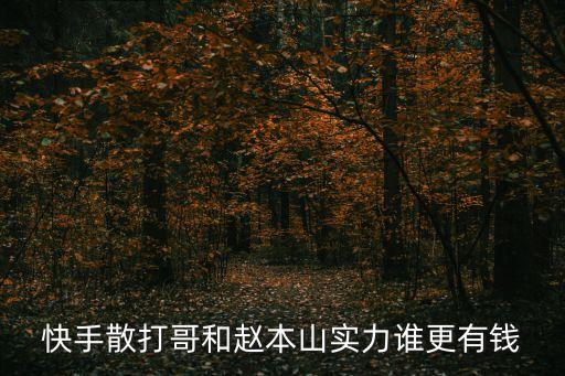 散打哥在廣州有幾套房，快手散打哥住在金沙洲哪個別墅區