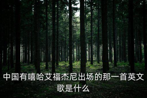 brantb小白，中國有嘻哈艾福杰尼出場的那一首英文歌是什么