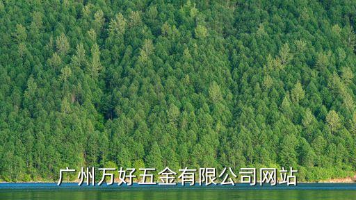 廣州萬好五金有限公司網站