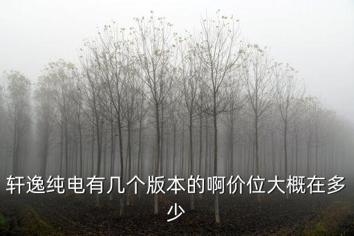 軒逸純電有幾個版本的啊價位大概在多少
