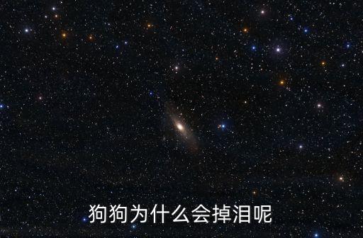 狗為什么會哭，狗為什么會哭