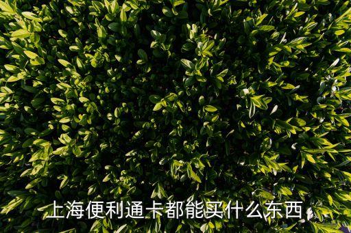 上海便利通卡都能買什么東西