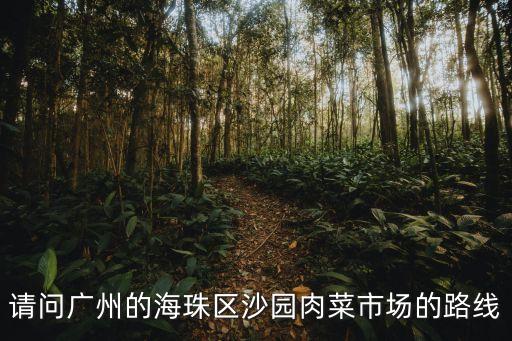 請(qǐng)問(wèn)廣州的海珠區(qū)沙園肉菜市場(chǎng)的路線(xiàn)