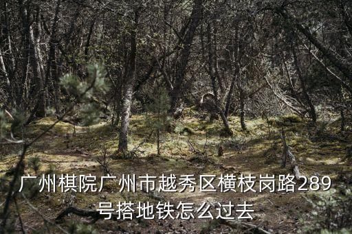 珠江棋院廣州，廣東哪里有棋院