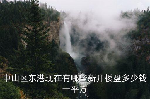 中山區東港現在有哪些新開樓盤多少錢一平方