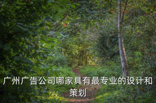 廣州廣告公司哪家具有最專業的設計和策劃