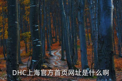 DHC上海官方首頁網(wǎng)址是什么啊
