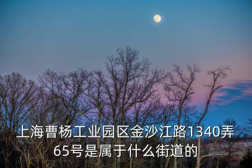 上海曹楊工業園區金沙江路1340弄65號是屬于什么街道的