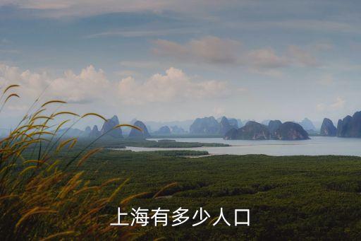 上海市人口數量2050，上海有多少人口