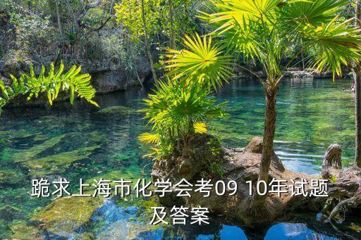 跪求上海市化學(xué)會考09 10年試題及答案