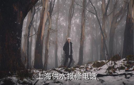 上海市自來水保修中心電話是多少，上海黃浦區自來水報修電話