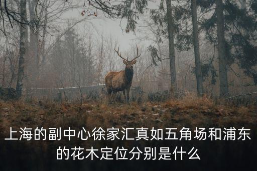 上海的副中心徐家匯真如五角場和浦東的花木定位分別是什么