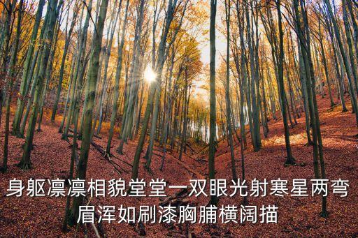 身軀凜凜相貌堂堂一雙眼光射寒星兩彎眉渾如刷漆胸脯橫闊描