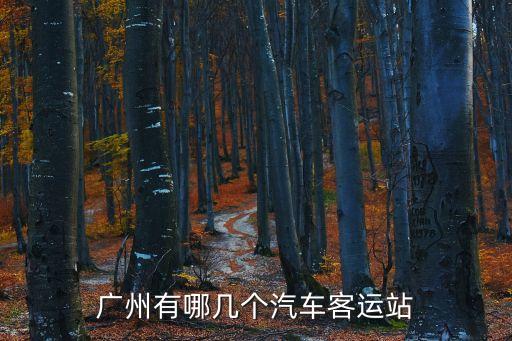 廣州東門客運站，廣州東有客運站么有到深圳火車站的么