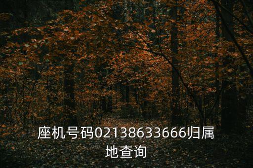 座機(jī)號(hào)碼02138633666歸屬地查詢(xún)