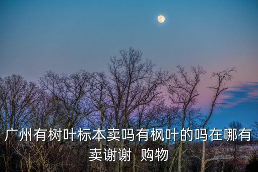 廣州哪里買楓葉牌，廣州有樹葉標本賣嗎有楓葉的嗎在哪有賣謝謝  購物